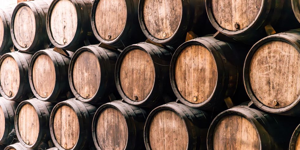 oak barrels in a wine cellar