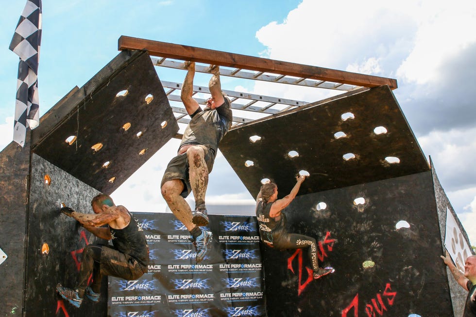 adventure, fun, recreation, tree, flip acrobatic, bouldering, climbing, leisure, competition, extreme sport,
