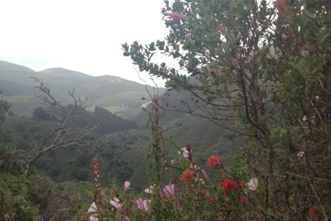 Old Coast Road