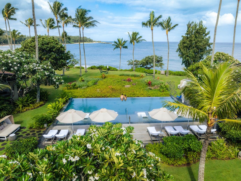 outdoor pool along a beach with palm trees, bushes, umbrellas and grass