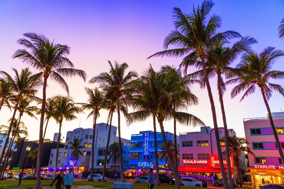 Cruises from Miami - Miami holidays