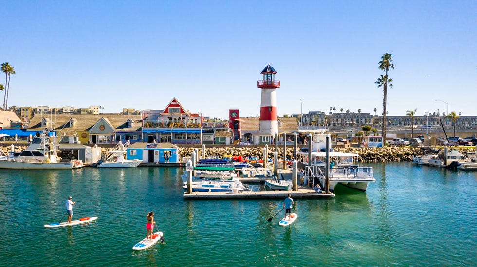 a group of people paddle surfboards