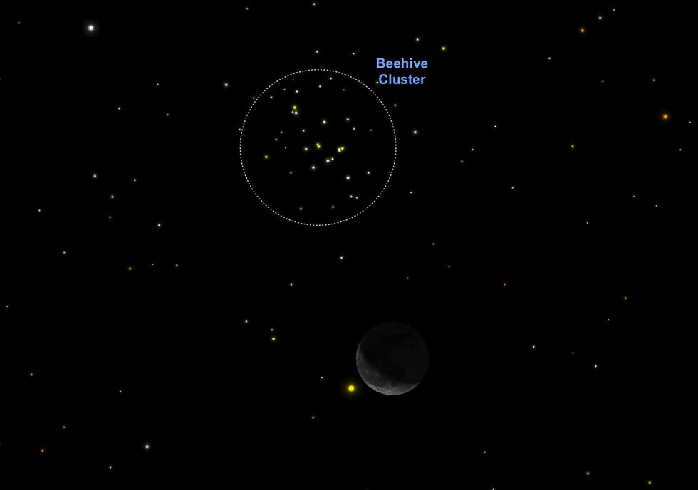De sterrenhoop Praesepe is makkelijker te vinden op 4 oktober dankzij de maansikkel die als gids dient