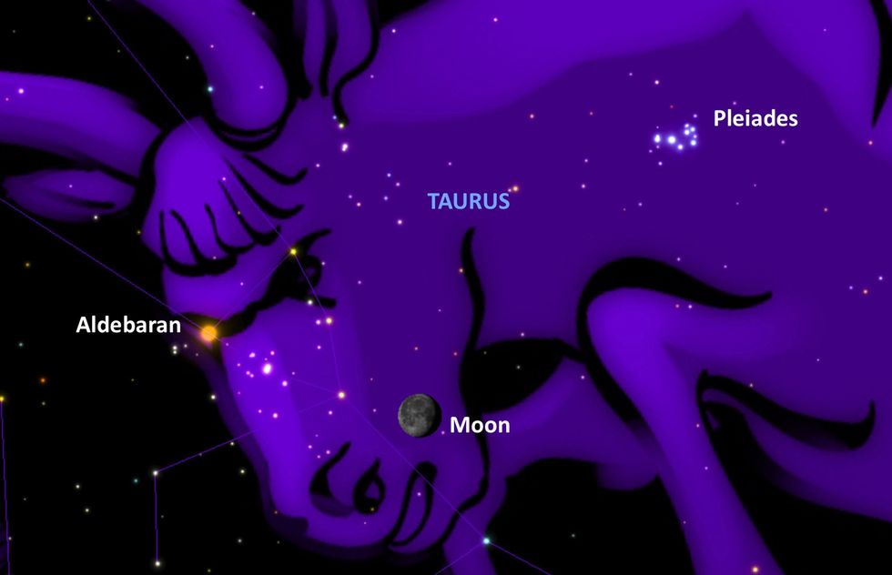 Op 9 oktober bevindt de maan zich vlak bij het oog van het sterrenbeeld Taurus oftewel Stier
