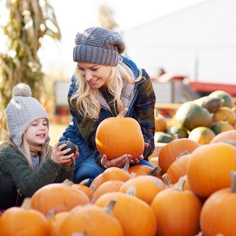 october holidays mother and daughter holding pumpkins in a pumpkin patch