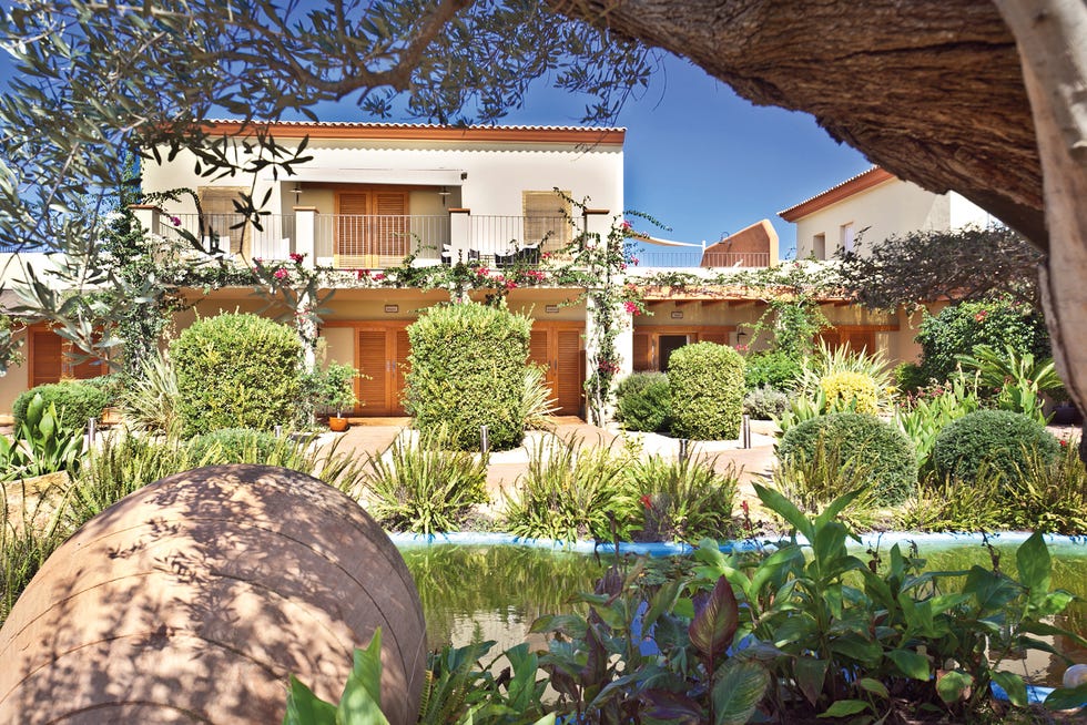 hotel od can jaume ibiza jardín