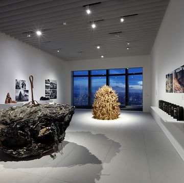 現代アートを通して、見る・聞く・触れる環境問題｜森美術館訪問レポート