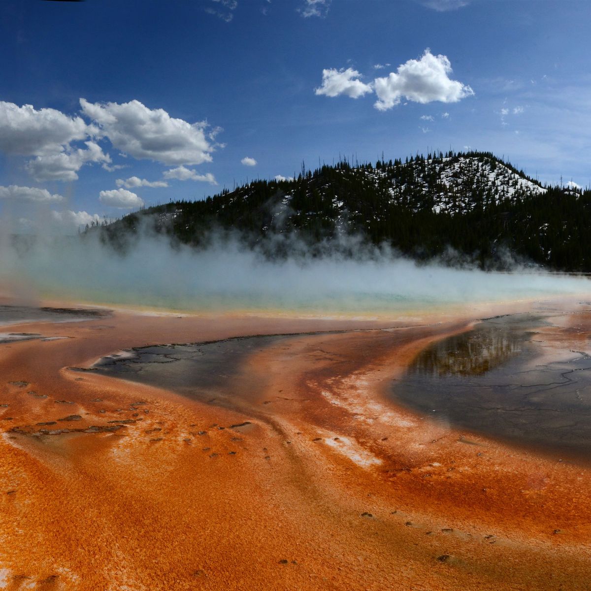 Slijmerige oranje matten van microben gedijen in en rond de Grand Prismatic Spring in het Yellowstone National Park