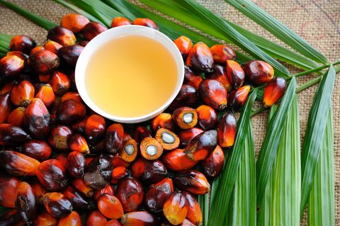 Oil palm fruits with cooking oil