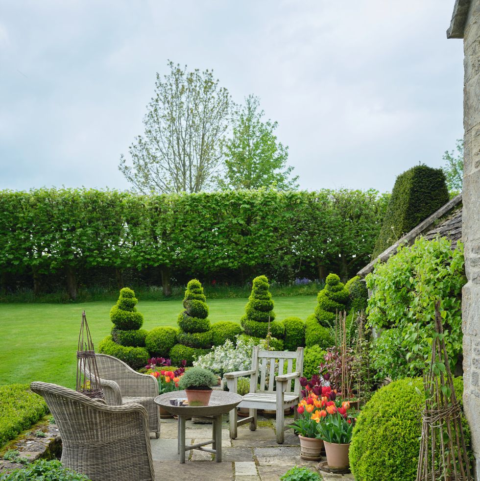 cotswolds home of oka cofounder sue jones charming spiral topiaries edge the sunny front terrace woven chairs\, oka