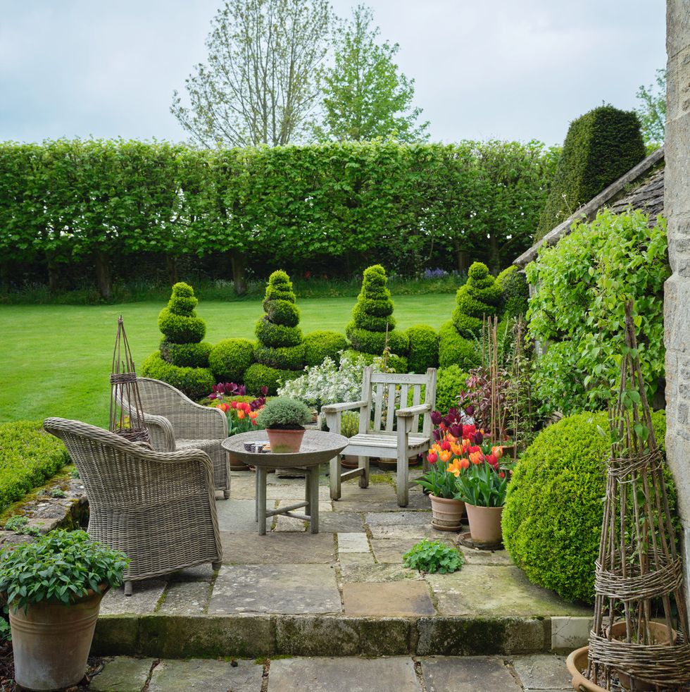 cotswolds home of oka cofounder sue jones charming spiral topiaries edge the sunny front terrace woven chairs\, oka