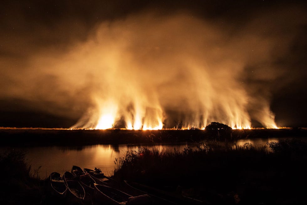 Een vuurzee in het overstromingsgebied van de Cuito vlak bij een van de kampeerplekken van het team Natuurbranden zijn gewoon maar er wordt ook bos aangestoken om wild naar jagers te drijven wat erosie en verzilting bevordert De rivieren die de Okavango voeden worden ook bedreigd door kunstmest en pesticiden en door het verleggen van hun loop voor de landbouw