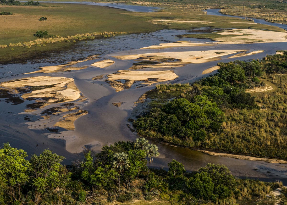 ReconAfrica vermoedt dat een gesteentelaag onder het Kavangobekken grote olie en gasvoorraden bevat In het concessiegebied van het bedrijf dat een totale oppervlakte van 34000 vierkante kilometer beslaat wonen 200000 mensen komen talloze wilde dieren voor en liggen ook belangrijke trekroutes voor de grootste nog resterende populatie savanneolifanten in de wereld