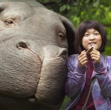 okja pelicula netflix okja pelicula netflix