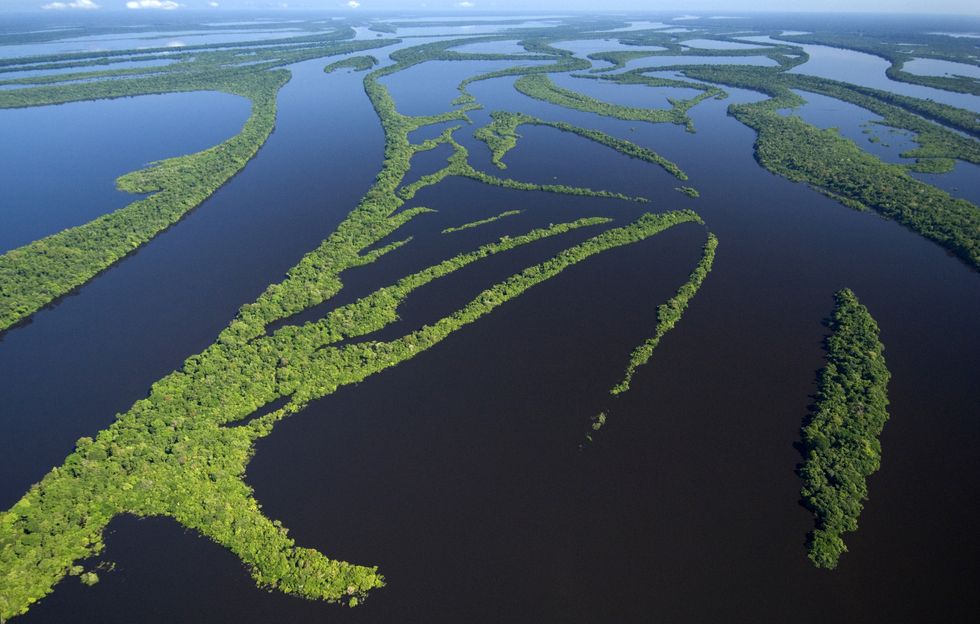 anavilhanas archipelago rio negro amazon brazil