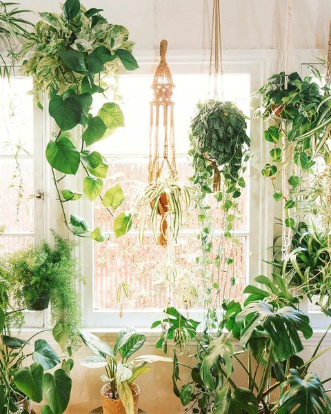 small greenhouse ideas