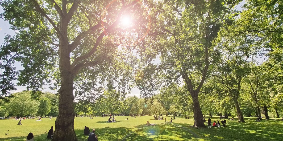 The Old Farmer's Almanac Summer 2024 Predictions Are Here The Old Farmer's Almanac Summer 2024 Predictions Are Here