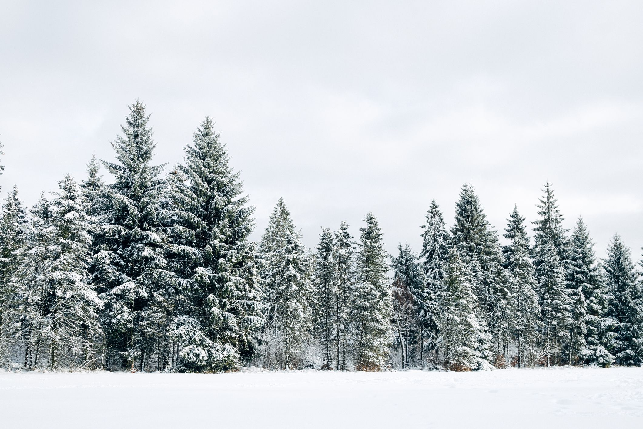 Old Farmer’s Almanac Winter 2020-2021 Forecast And Predictions