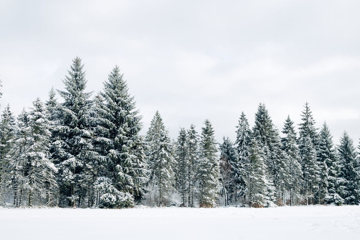 The 'Old Farmer’s Almanac' Winter 20242025 Predictions Are Here