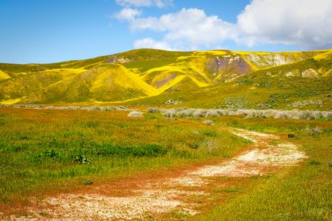 old road in the carrizo plain national monument