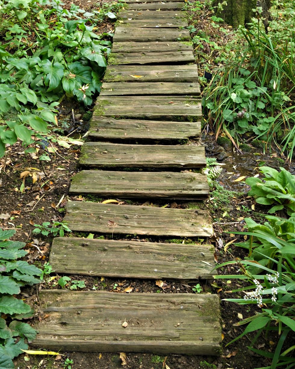 k524ch old rustic woodland garden path made from split wooden timber logs, coton manor gardens, northamptonshire, england, uk