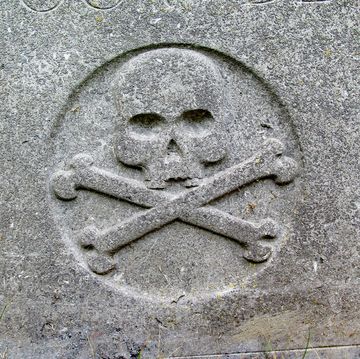 old skull and crossbones on an abandoned grave in brussels