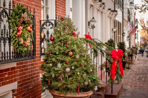 christmas decoration, tree, christmas tree, red, christmas, town, plant, flower, home, architecture,