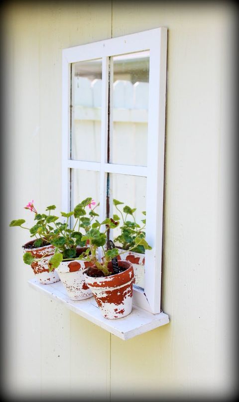 Window, Flowerpot, Room, Flower, Plant, Houseplant, Door, Interior design, House, Table, 