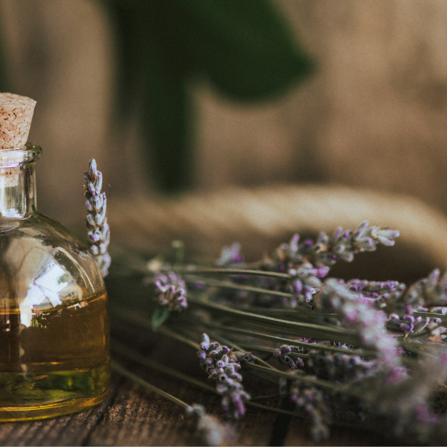 Diffusori Oli Essenziali per Aromaterapia, Cosa Sono e Come si Usano