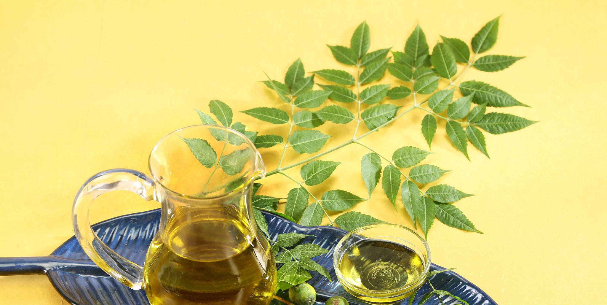 Perché non potrai più fare a meno dell'olio di neem