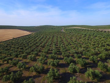dcim\100media\dji0045jpg