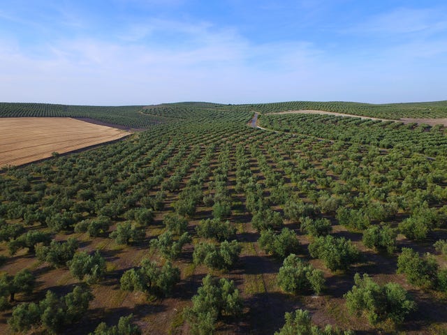 dcim\100media\dji0045jpg