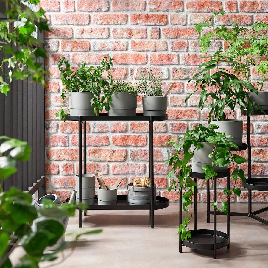 indoor plant display with various potted plants on metal tables against a brick wall