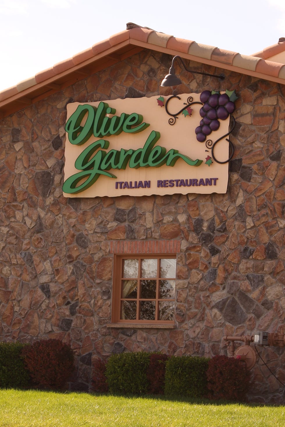 Los restaurantes Olive Garden abren el día de Año Nuevo.