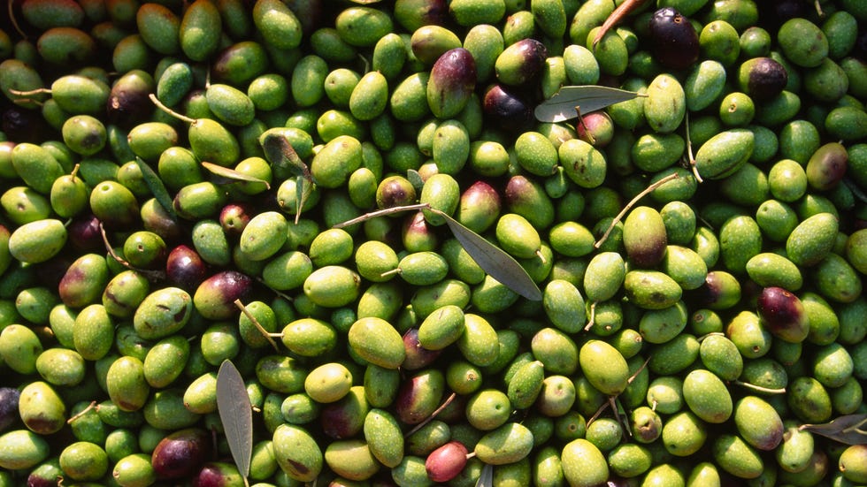 come conservare le olive