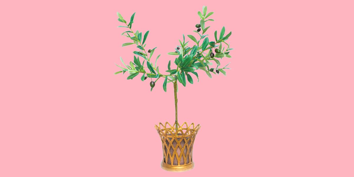 faux olive tree with gold planter and pink background