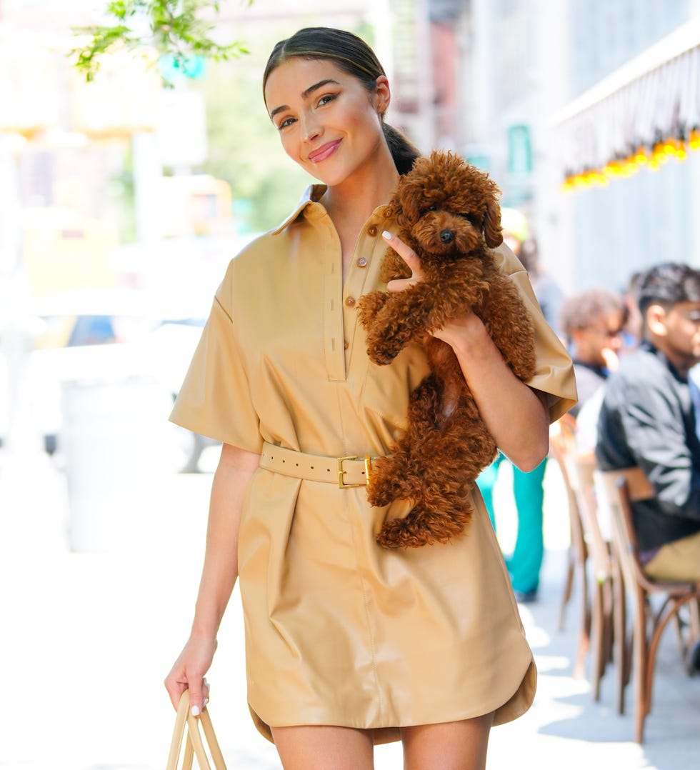 olivia culpo ponytail hairstyles