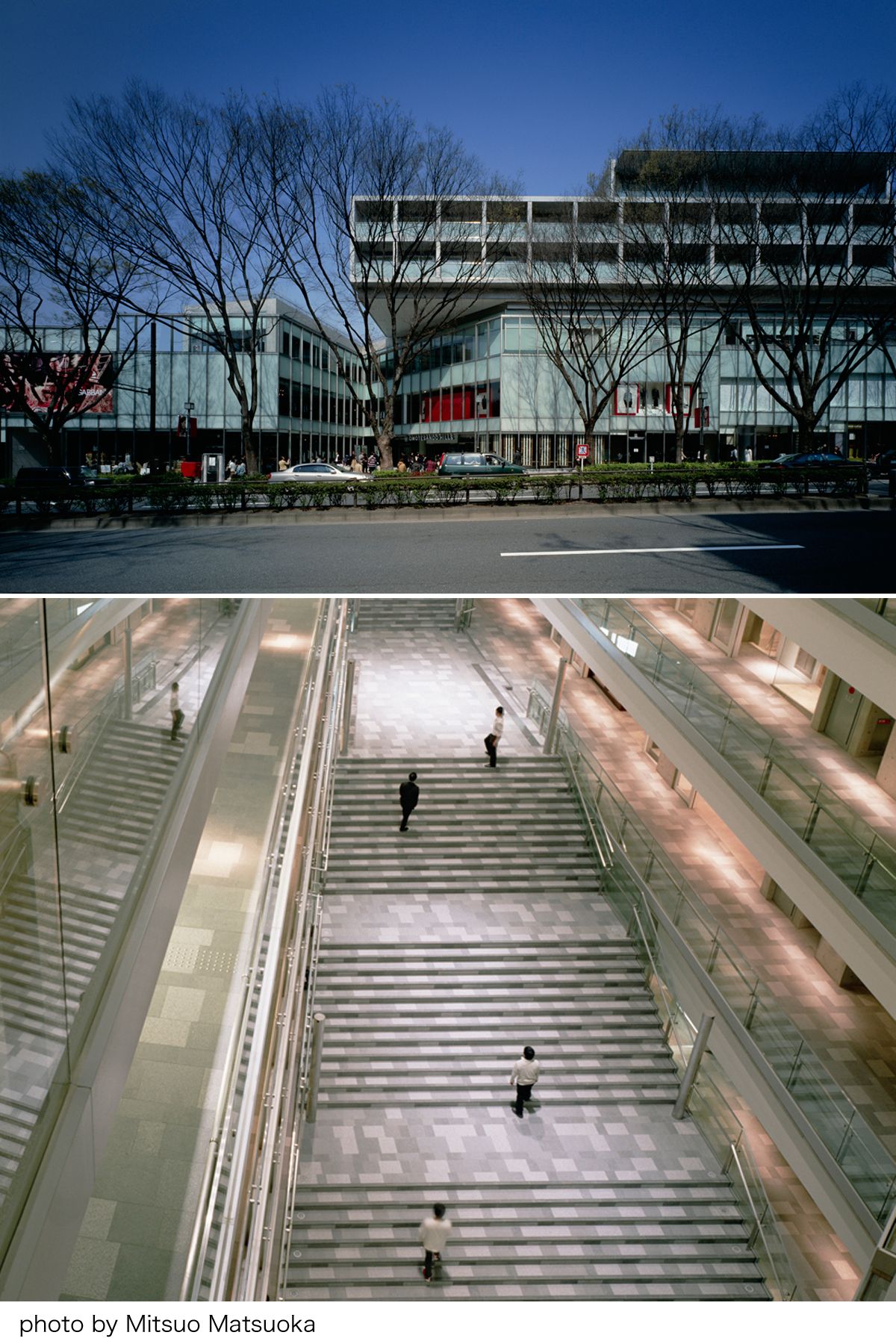 安藤忠雄の建築をめぐる、散歩ガイド【東京建築さんぽ】｜ELLE