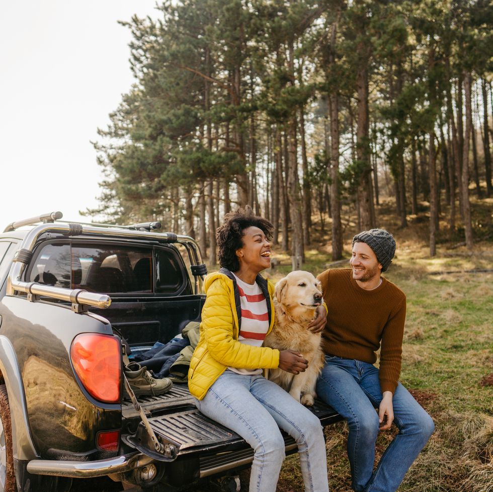 on a road trip with our dog