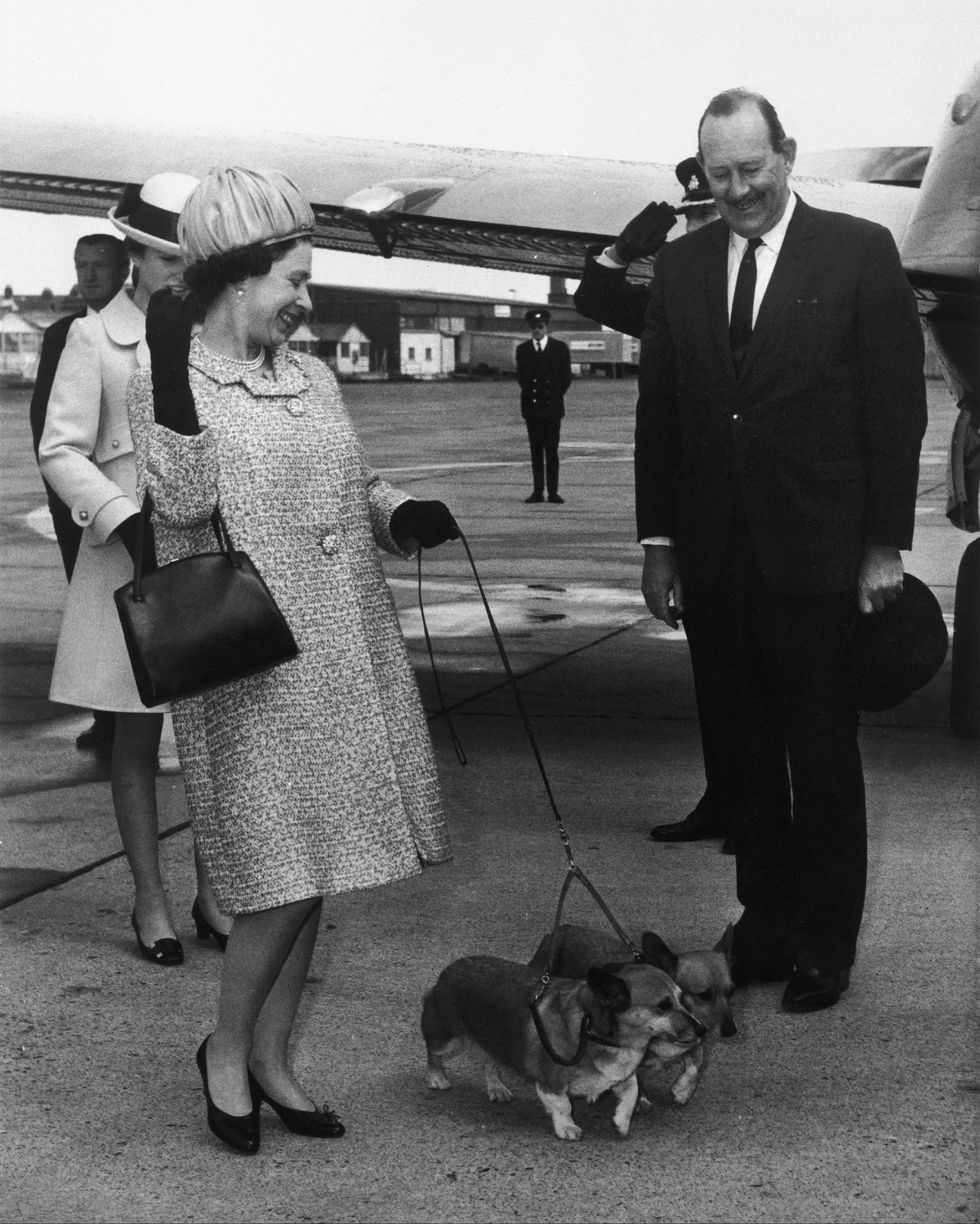 elizabeth ii and his dog 1969