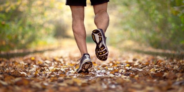People in nature, Footwear, Running, Leg, Human leg, Shoe, Walking, Joint, Trail, Autumn, 
