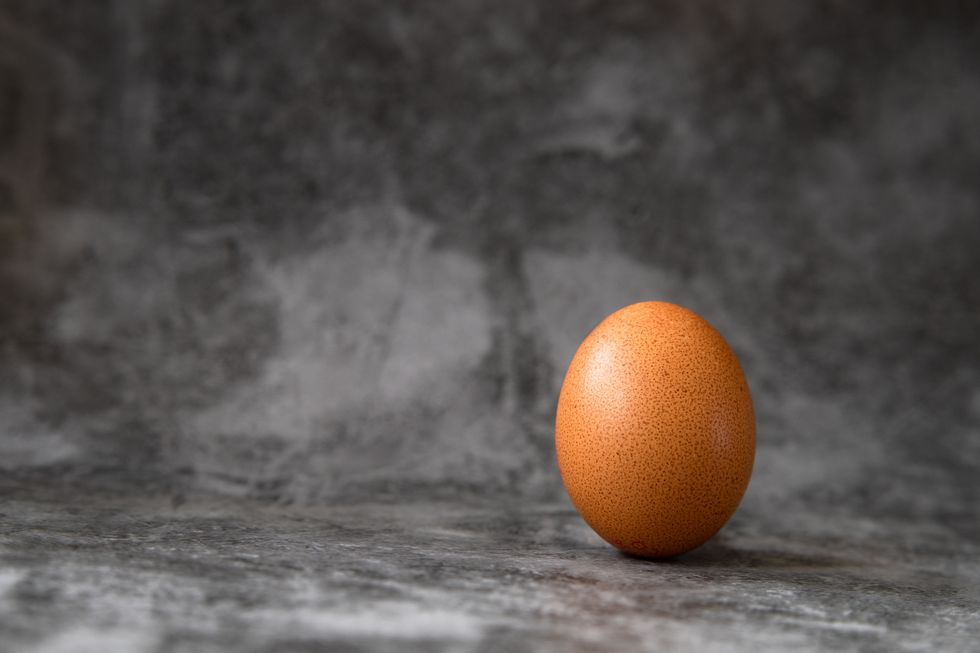 one brown egg on marble background