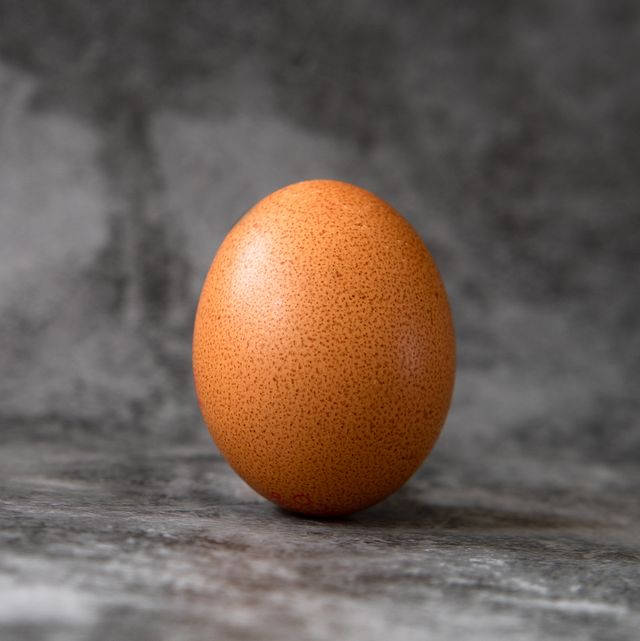 one brown egg on marble background