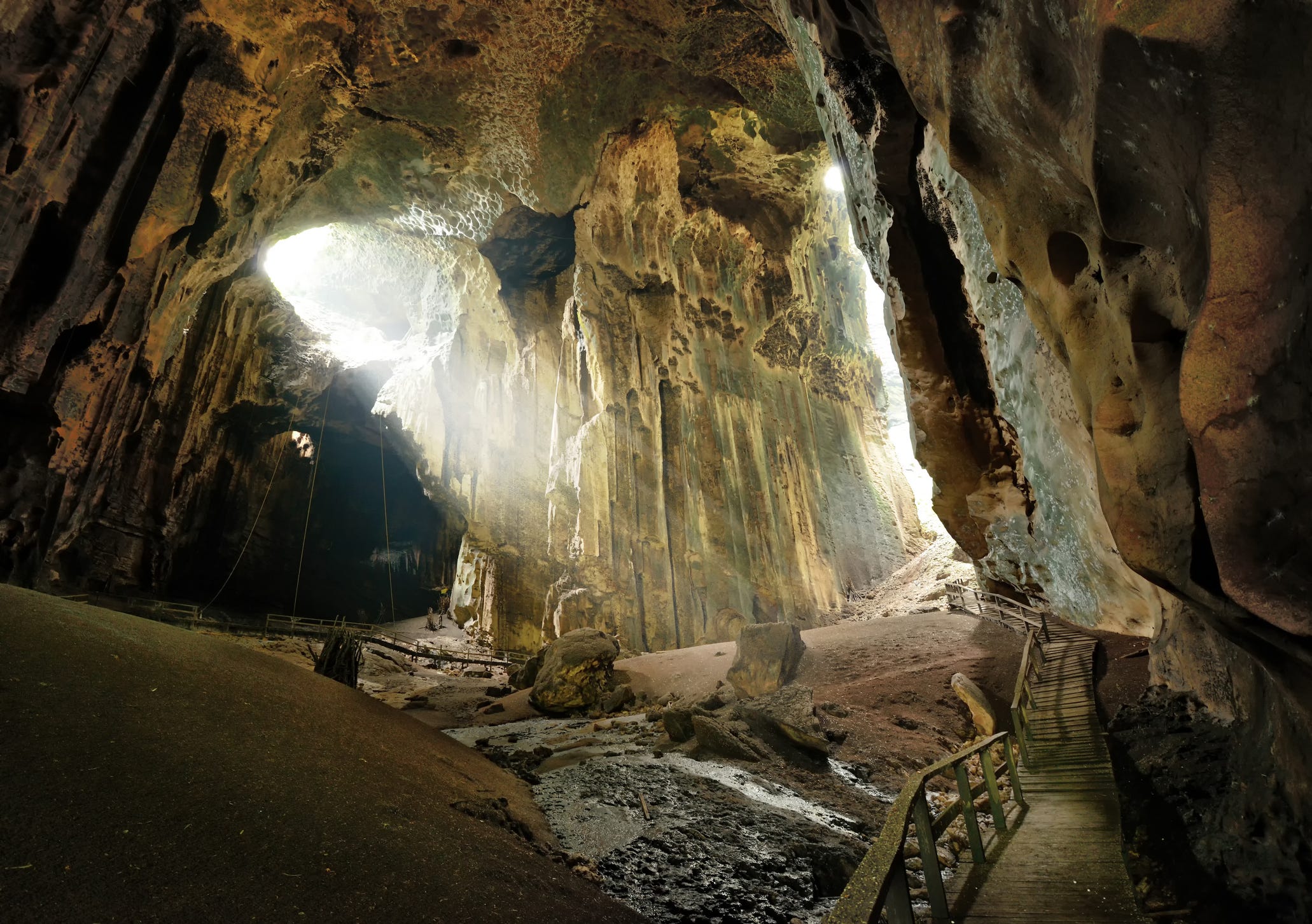 Borneo tours - Borneo orangutan tour