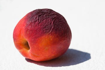 one old peach