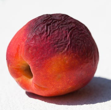 one old peach one old peach