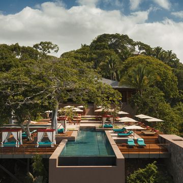 infinity pool surrounded by trees on a hill