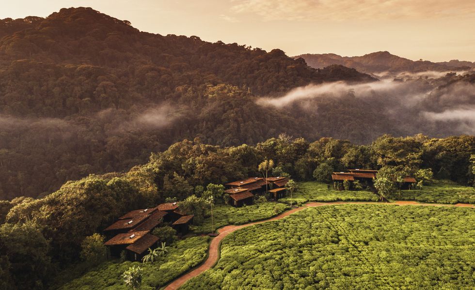 luxurious allinclusive resorts — oneonly nyungwe house