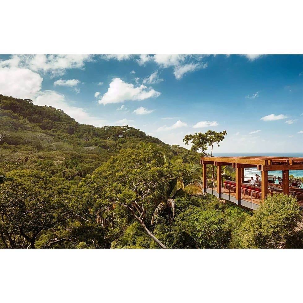 scenic view of a modern wooden structure overlooking lush greenery and ocean