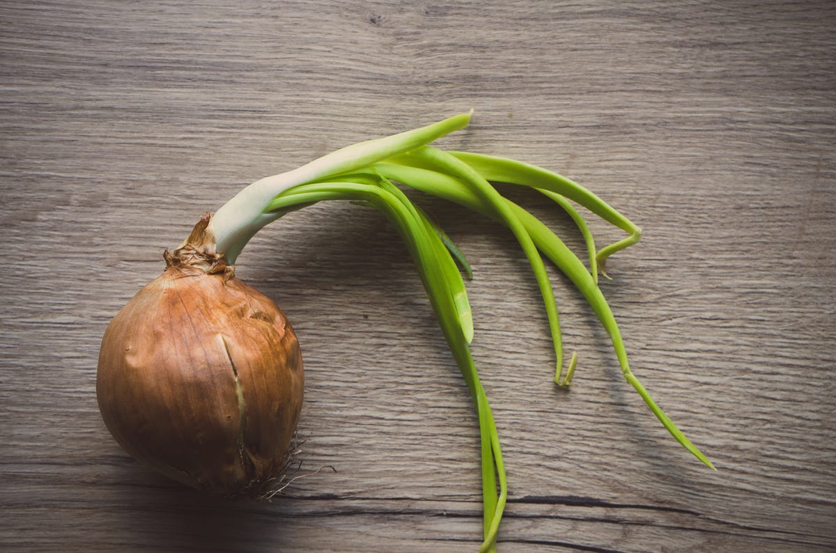preview for Dr. Delish: Can You Eat Sprouted Garlic?